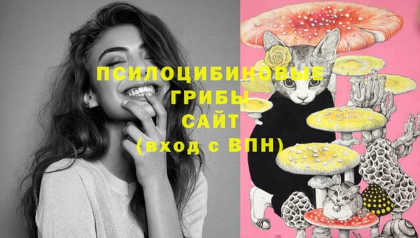 каннабис Гусиноозёрск