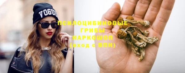 индика Гусь-Хрустальный