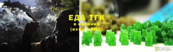 индика Гусь-Хрустальный