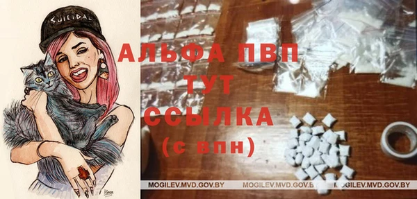индика Гусь-Хрустальный