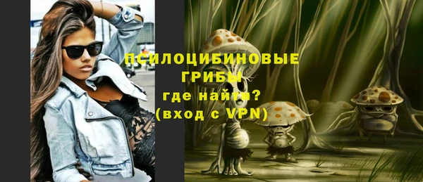 индика Гусь-Хрустальный