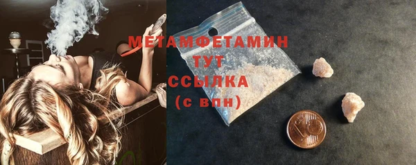 индика Гусь-Хрустальный