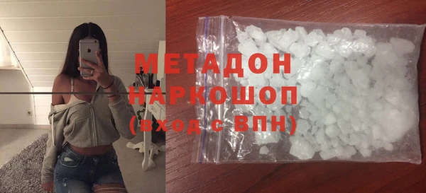 индика Гусь-Хрустальный