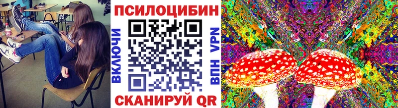 Псилоцибиновые грибы Psilocybe  Купить где  Козельск 